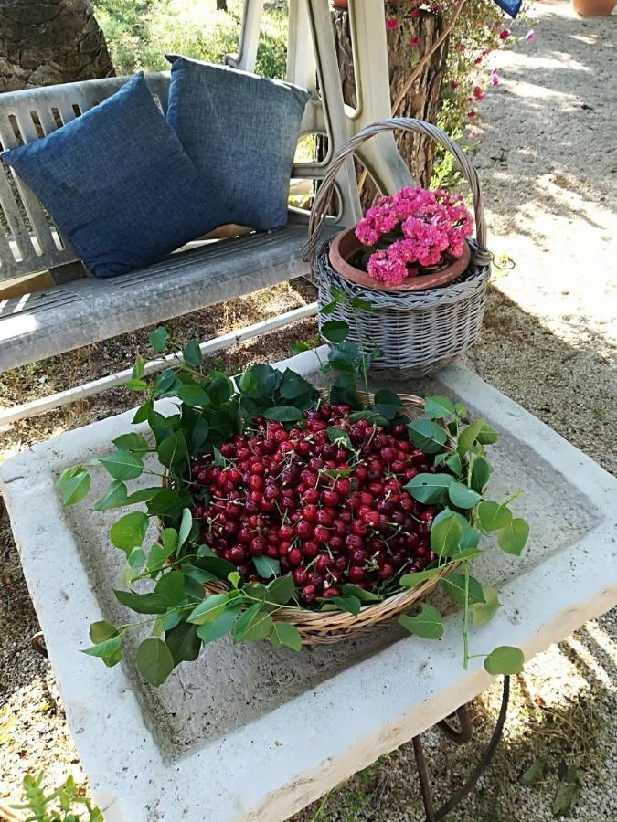 B&B Nonna Laura Trani Zewnętrze zdjęcie